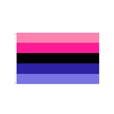 डिजिटल प्रिंटिंग रेनबो LGBT फ्लैग 3x5Ft 100D पॉलिएस्टर प्रोग्रेस फ्लैग